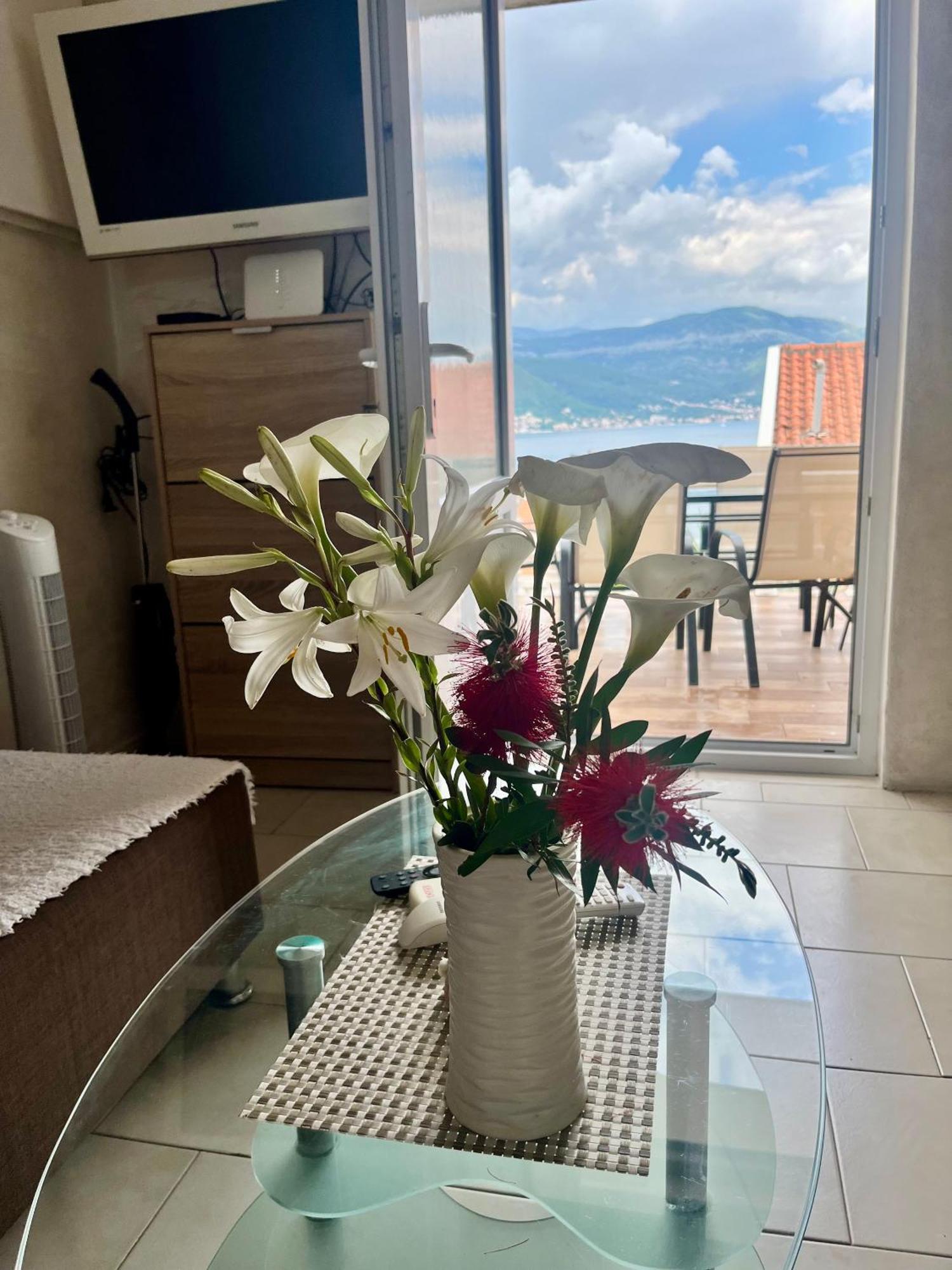 Apartments Obradovic Krasici Room photo